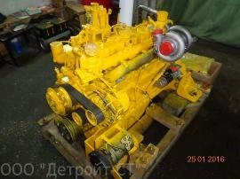 Cat 3066_14.jpg