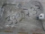 Топливопровод 3930738 (4063291, 3863431, 3930737) фото запчасти