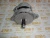 Генератор 12V, 100A Cummins 6ISBe 5282836 (TT11940, 8076N, 88-02508-SX, 10459205, TT11554, 2874862, 4936876, 3935527, 3918558) фото запчасти