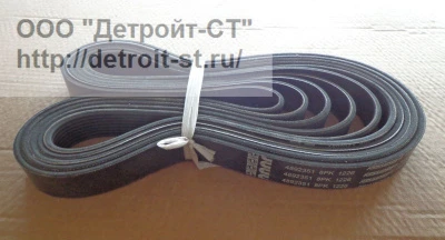 Ремень водяного насоса Cummins ISBe-4,5 (номера по замене: 4990977, 4892351) фото запчасти