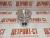 Поршень Cummins QSB 4955337 (4935932, 4939181, 4376349, R4376349, 5257639) – Запчасти Cummins фото (Поршни) Поршень Cummins QSB 4955337 (4935932, 4939181, 4376349, R4376349, 5257639) фото запчасти