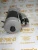 Стартер Deutz 01183235 (01180928, STB1130UL, 11131769, 0118-3235, 11131769, 01183712, 0118-3712, 01183120, 0118-3120, AZF4197, 01183677, 0118-3677, 01182925, 0118-2925, 0118-0928) – Запчасти Deutz фото (Стартеры и генераторы) Стартер Deutz 01183235 (01180928, STB1130UL, 11131769, 0118-3235, 11131769, 01183712, 0118-3712, 01183120, 0118-3120, AZF4197, 01183677, 0118-3677, 01182925, 0118-2925, 0118-0928) фото запчасти
