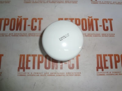 Фильтр предохранитель от коррозии Cummins 4058964 (WF2073, J4058964, 4058964, 3100306) фото запчасти