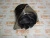 Насос водяной Cummins 5291445 (5402699, 3966841, 851-01-0615, 4089647, 3804927, 3415366, 3286293, 3940052, 3973114, 4934058, 4309418, 3964791) – Запчасти Cummins фото (Водяные насосы) Насос водяной Cummins 5291445 (5402699, 3966841, 851-01-0615, 4089647, 3804927, 3415366, 3286293, 3940052, 3973114, 4934058, 4309418, 3964791) фото запчасти