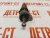 Форсунка Cummins NTA-14 3095023 фото запчасти