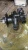 Насос водяной Cummins QSM/ISM/M-11 4955706 (3800745, 3800479, 4003929, 3401009, 4972857) фото запчасти
