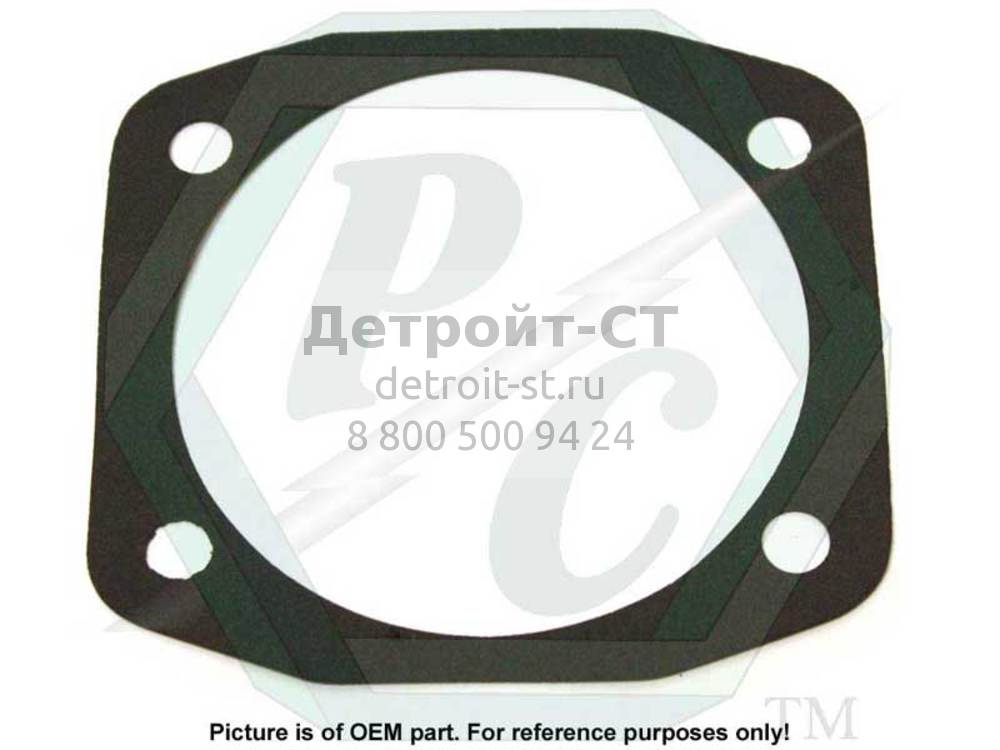 Gasket, F/W Acc. Drive Cover 5141021 фото запчасти