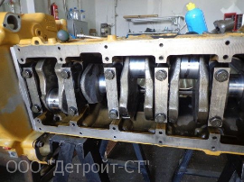 Cat C13_11