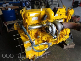 Cat C13_21