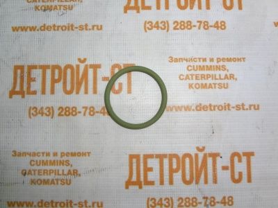 Уплотнительное кольцо крупного сечения Deutz 01319139 (169570, 227-388-664-9) фото запчасти