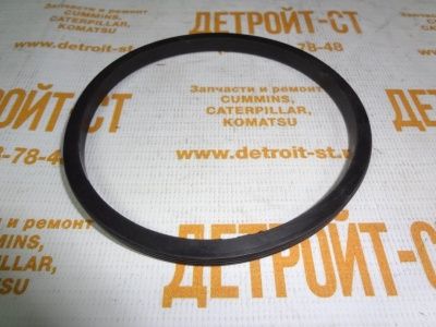 Уплотнительное кольцо Deutz 1015 04220025 (4220025, 0422-0025) фото запчасти