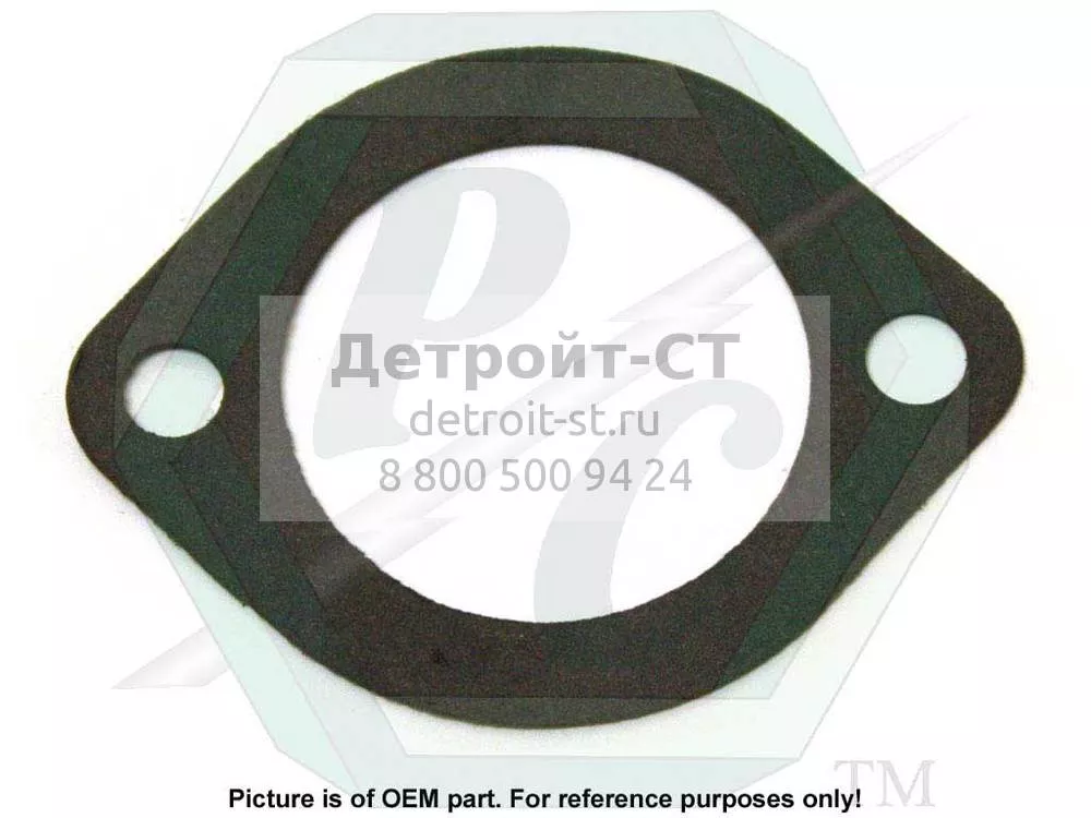 Gasket, Water Hole Cover 5116357 фото запчасти